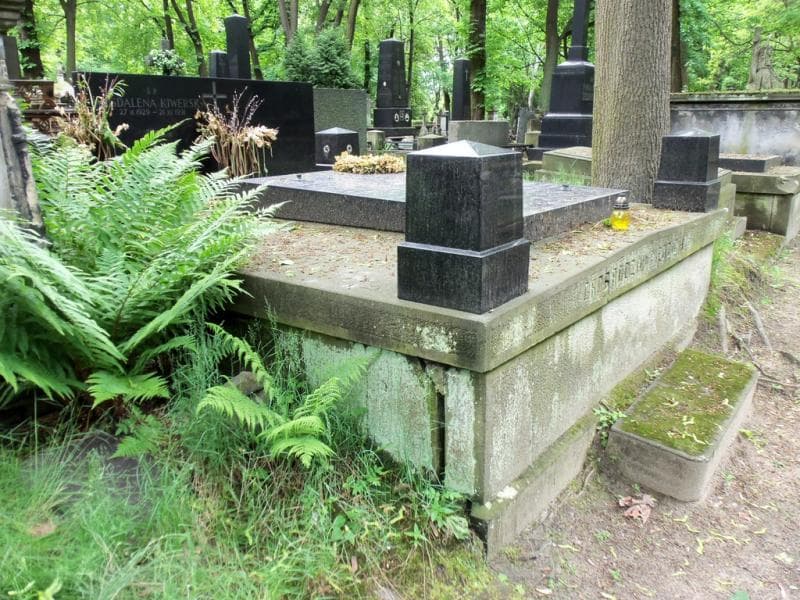 Zdjęcie grobu Zygmunt Piędzicki (1)