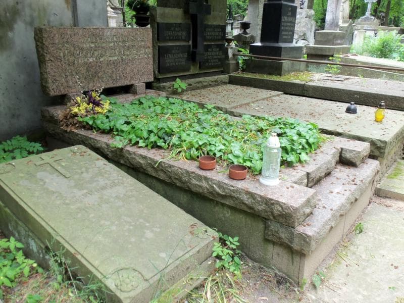 Zdjęcie grobu Henryk Wątkowski (1)