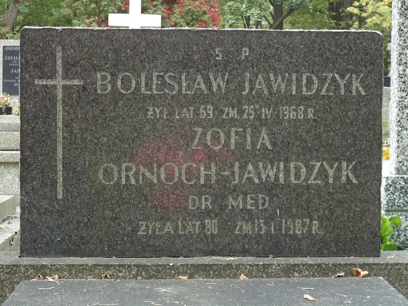 Zdjęcie grobu Bolesław Jawidzyk (2)