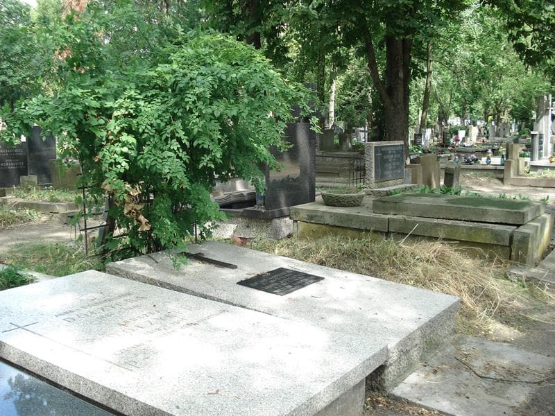 Zdjęcie grobu Janina Kobylińska (2)