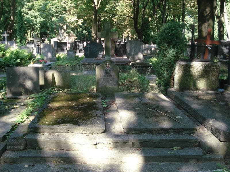 Zdjęcie grobu: Stanisława Rychlińska
