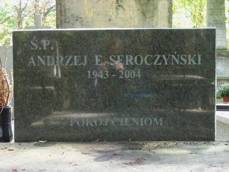 Zdjęcie grobu Salomea Daberko (2)