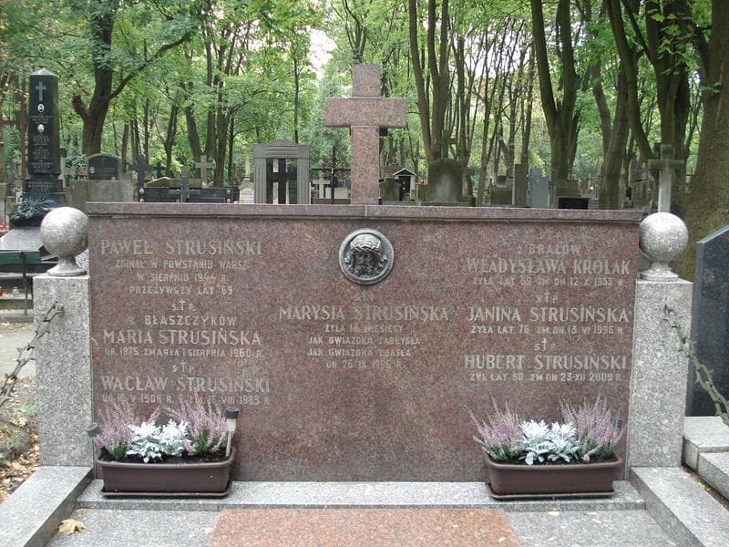 Zdjęcie grobu Wacław Strusiński (2)