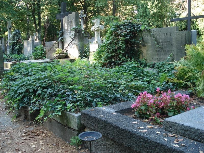 Zdjęcie grobu Irena Jug (1)