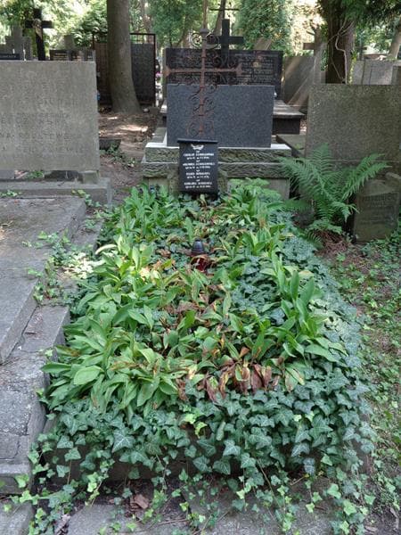 Zdjęcie grobu: Czesław Jamiołkowski