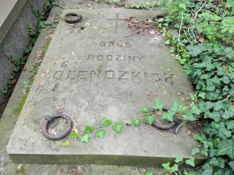 Zdjęcie grobu Olendzcy (1)