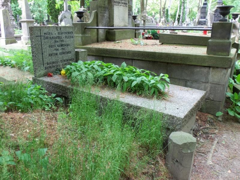 Zdjęcie grobu Maria Chrzanowska-Pilecka (1)