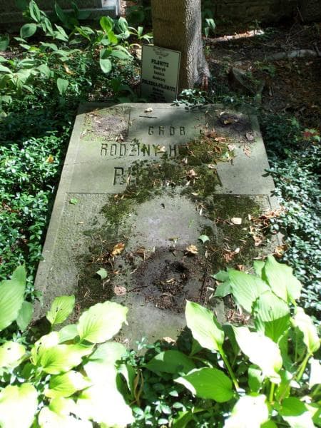 Zdjęcie grobu Henryk Pilawitz (2)