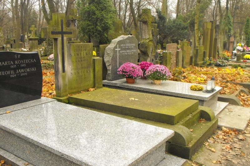 Zdjęcie grobu Czesław Sawicki (1)