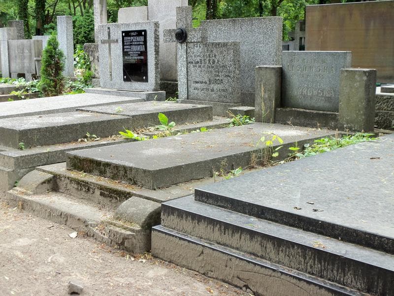 Zdjęcie grobu Zofia Dąbrowska (1)