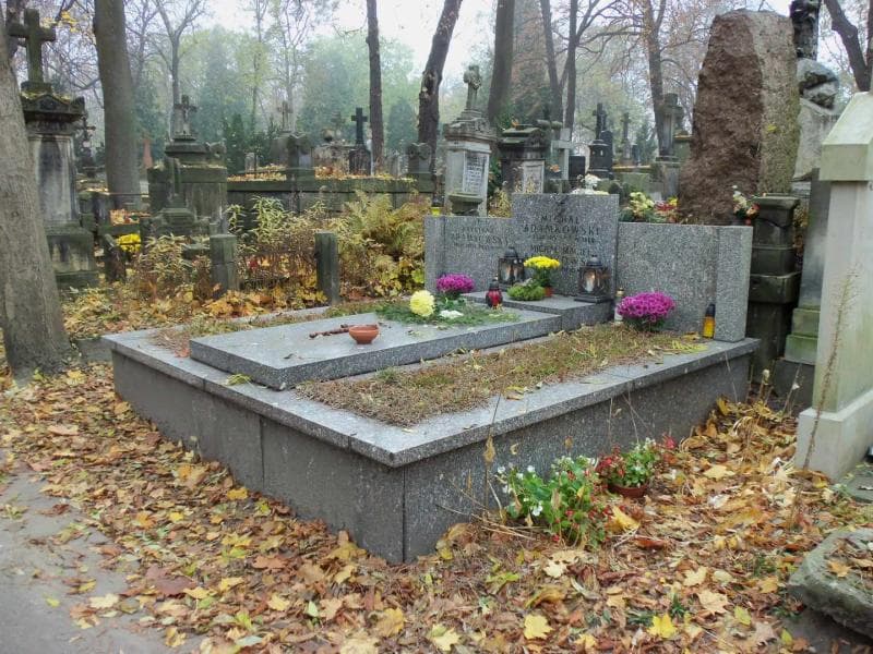 Zdjęcie grobu Michał Adamkowski (1)