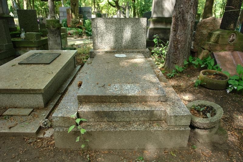 Zdjęcie grobu Tadeusz Laskowski (1)