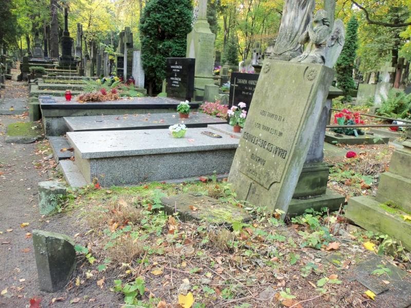 Zdjęcie grobu Armand Chaales Des Etangs (1)