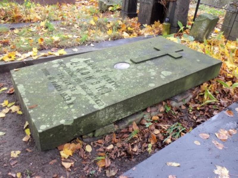 Zdjęcie grobu Henryk Likowski (2)
