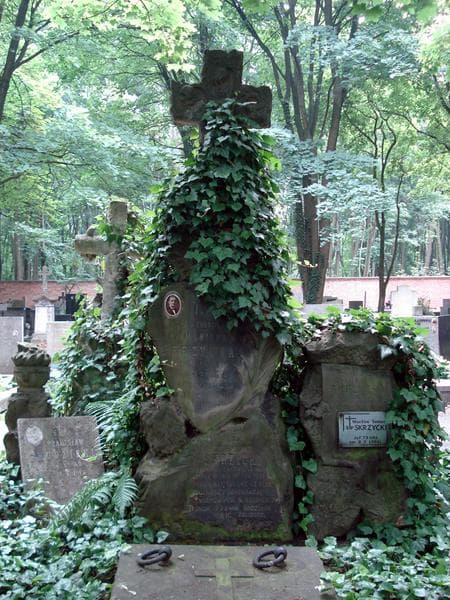 Zdjęcie grobu Władysław Chudzicki (1)