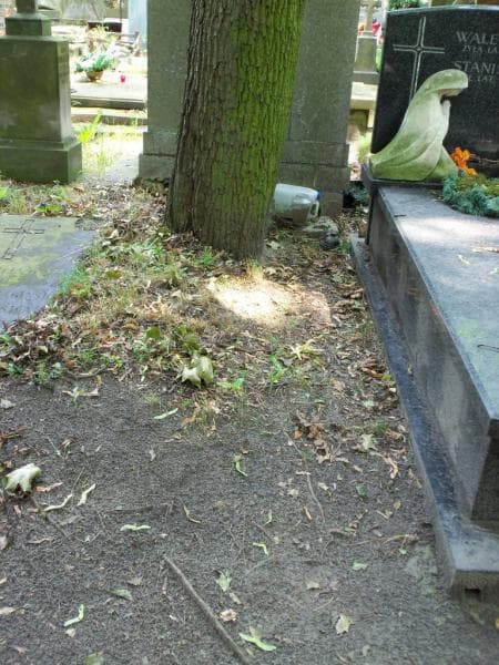 Zdjęcie grobu: Pole Grobowe