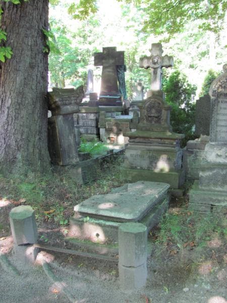 Zdjęcie grobu ... Brzozowska (1)