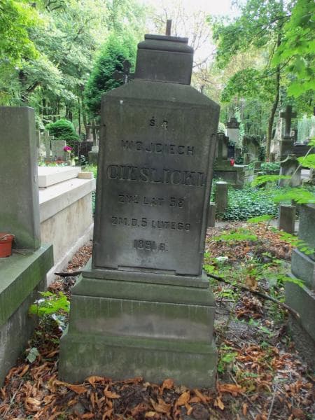 Zdjęcie grobu Wojciech Cieślicki (1)