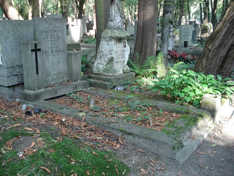 Zdjęcie grobu: Maria Żmijewska