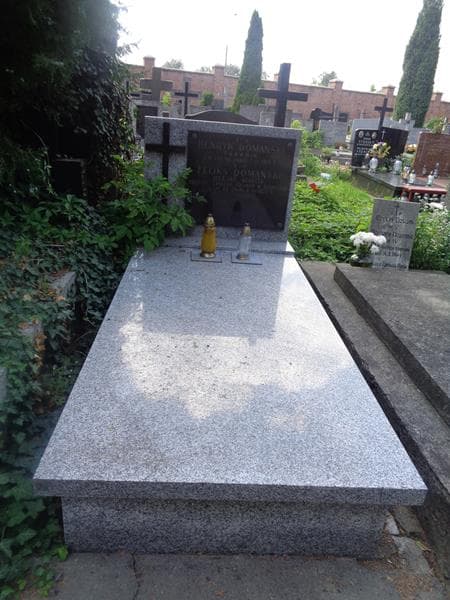Zdjęcie grobu Henryk Domański (1)
