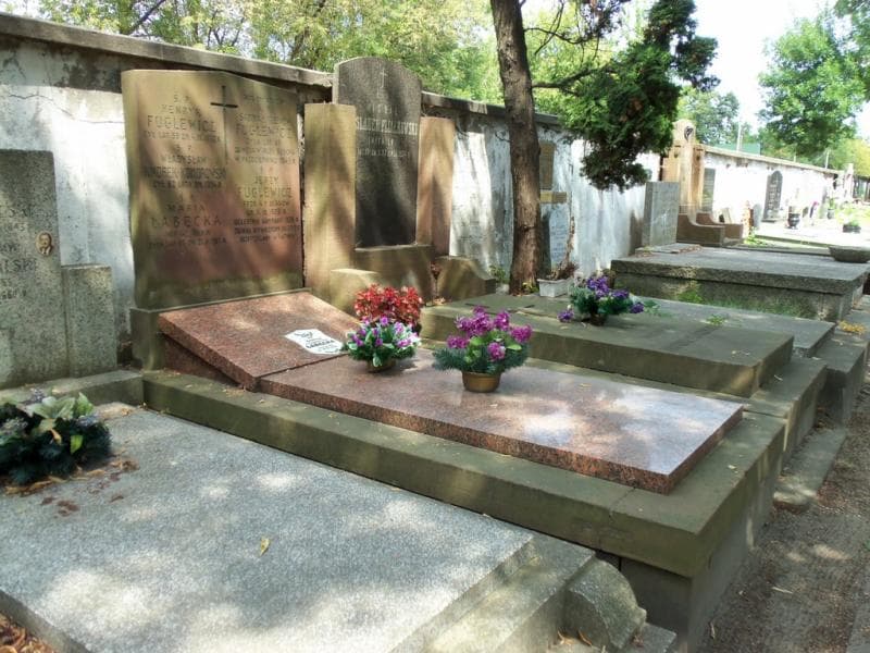 Zdjęcie grobu Władysław Knorek - Komorowski (1)