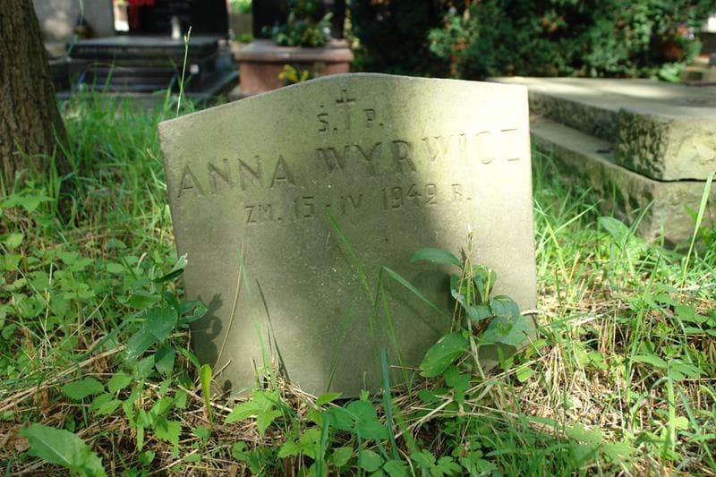 Zdjęcie grobu Anna Wyrwicz (2)