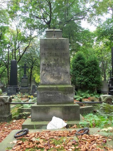 Zdjęcie grobu Emilja Gomólińska (2)