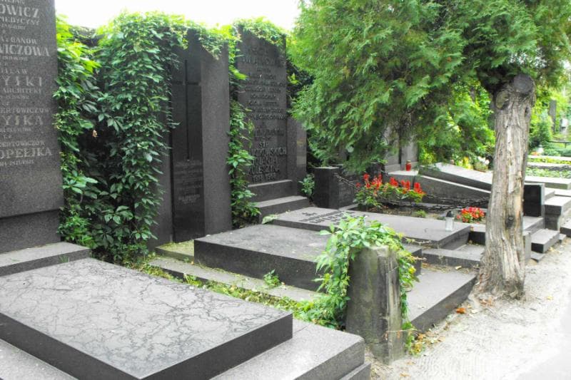 Zdjęcie grobu Zofia Dobrowolska (1)