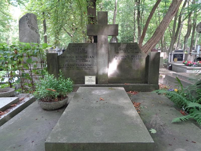 Zdjęcie grobu Krzysztof Czeremski (2)