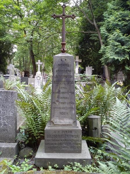 Zdjęcie grobu Jakób Goźdz-Roszkowski (2)