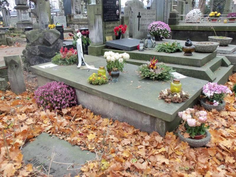 Zdjęcie grobu Zofia De Virion (1)