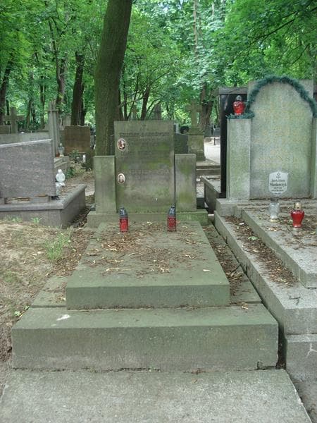 Zdjęcie grobu: Szczęsny Bronowski