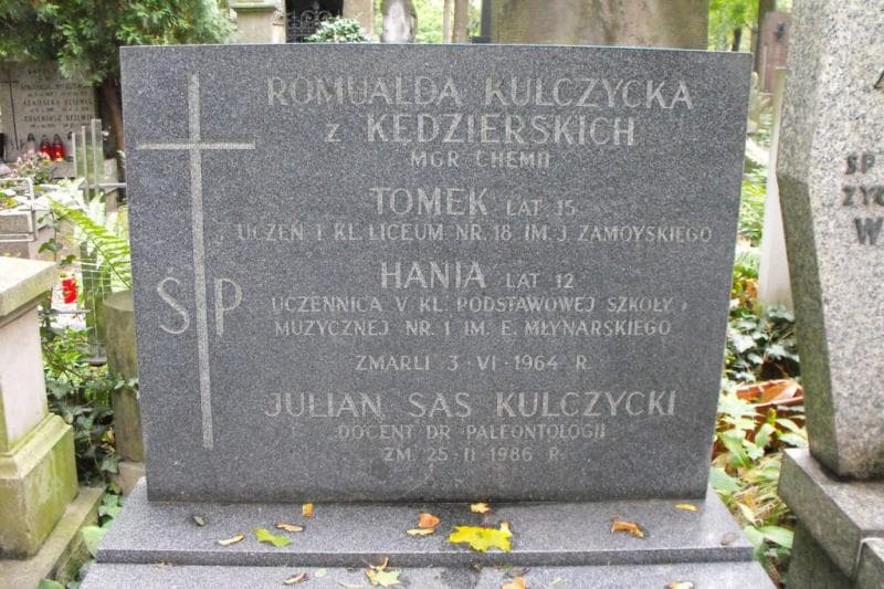 Zdjęcie grobu Hania Kulczycka (2)