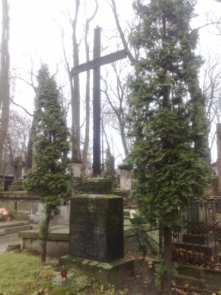 Zdjęcie grobu Ludwik Kujawski (1)