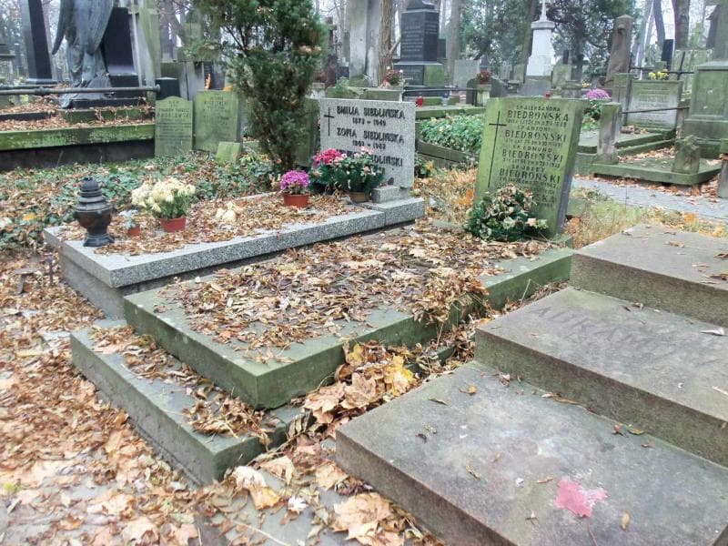 Zdjęcie grobu Antoni Biedroński (1)