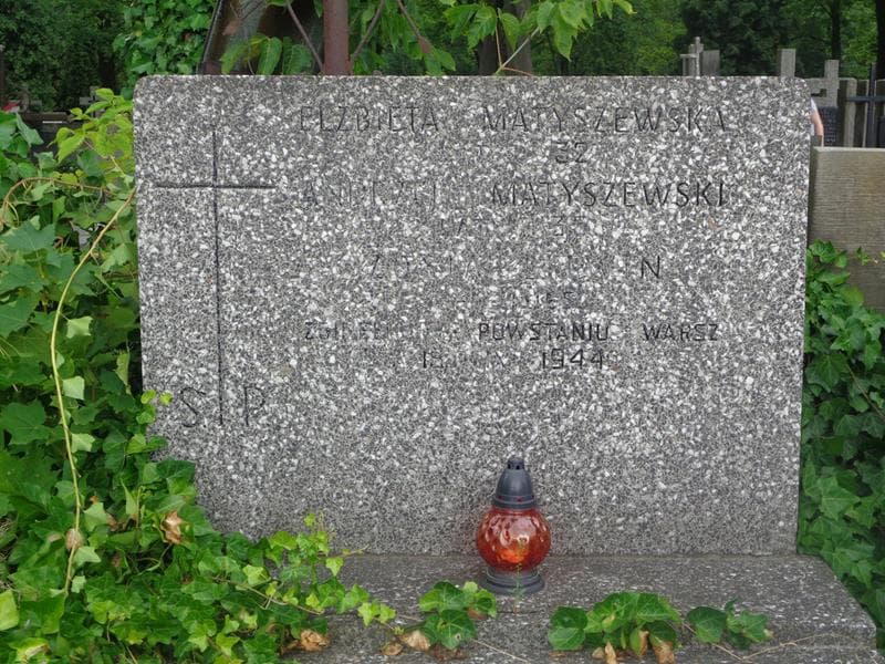 Zdjęcie grobu Zofia Litwin (2)