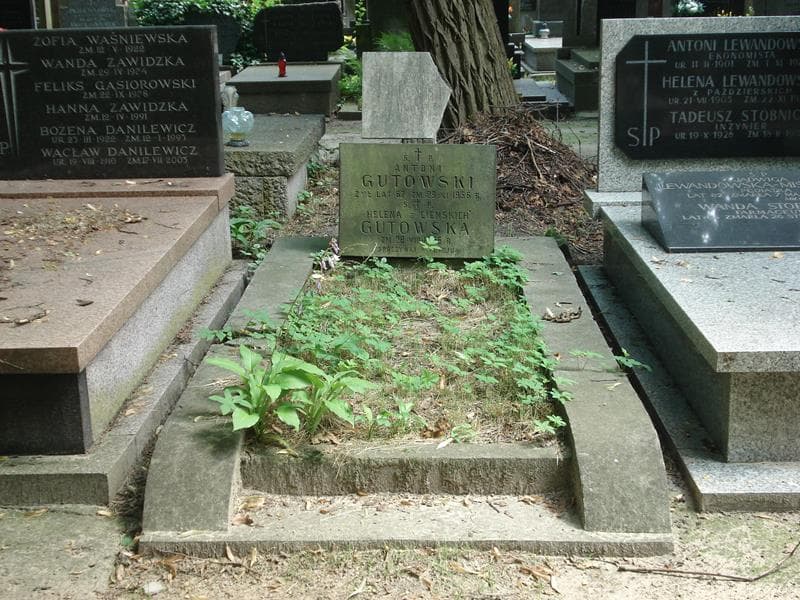Zdjęcie grobu: Augusta Cieńska