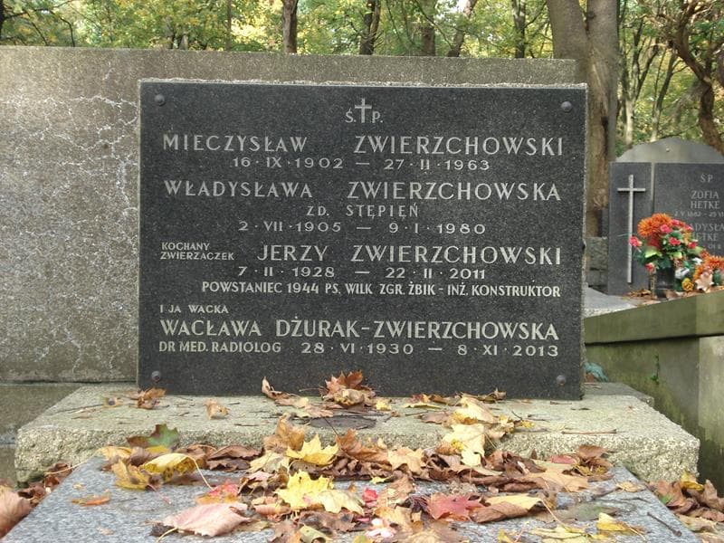 Zdjęcie grobu Wacława Dżurak-Zwierzchowska (2)