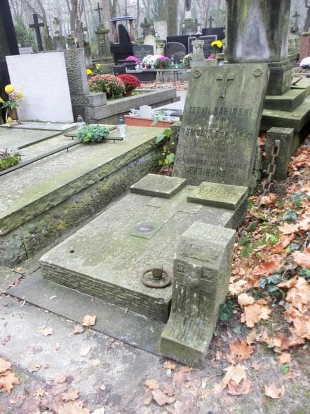 Zdjęcie grobu Teofil Babiński (1)