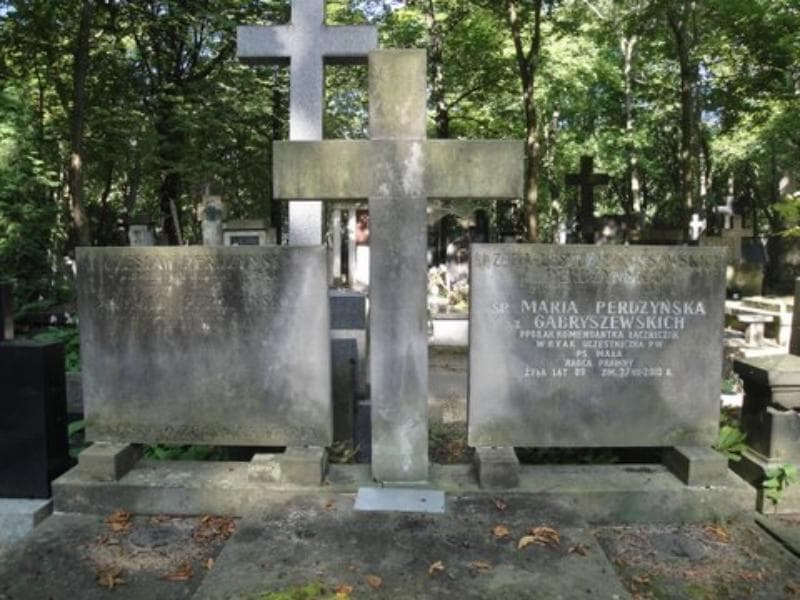 Zdjęcie grobu Witold Perdzyński (2)