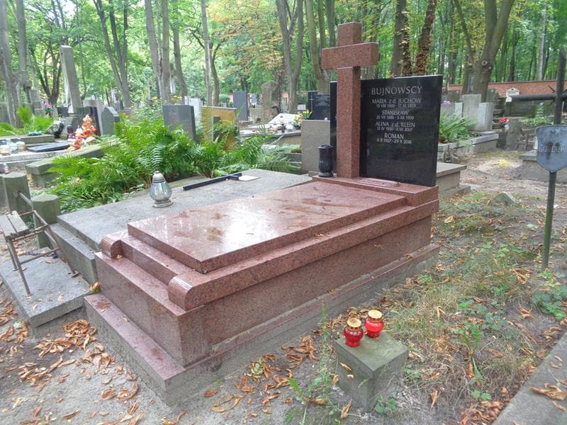 Zdjęcie grobu: Alina Bujnowska