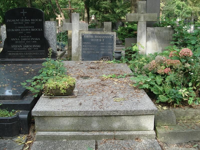 Zdjęcie grobu: Anna Hipsz