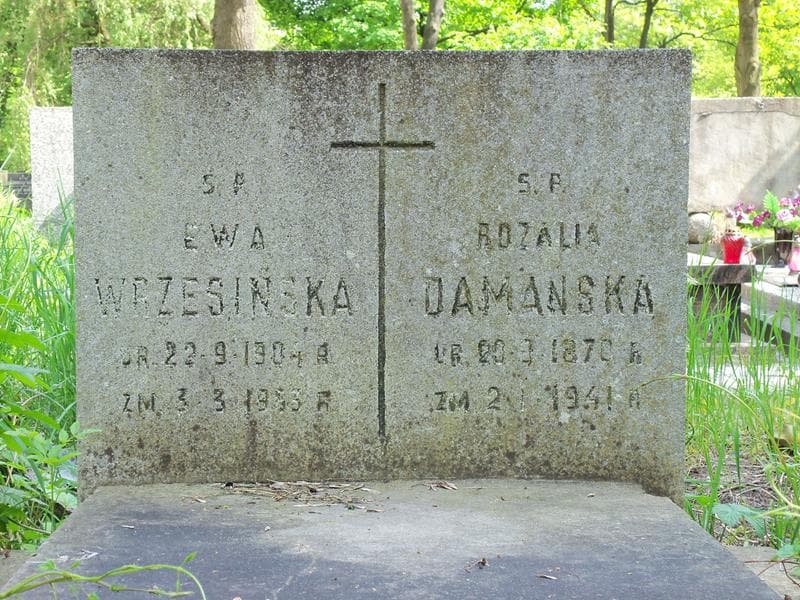 Zdjęcie grobu Ewa Wrzesińska (2)
