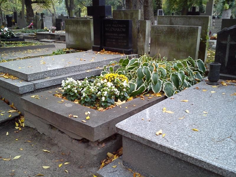Zdjęcie grobu: Józefa Christ