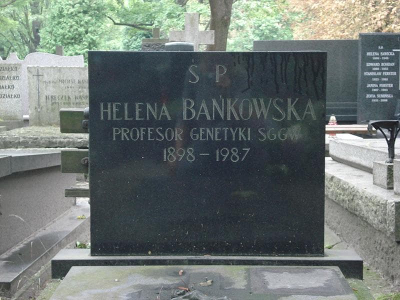 Zdjęcie grobu Maria Cimkowiczowa (2)