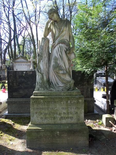 Zdjęcie grobu Alexander Janicki (2)