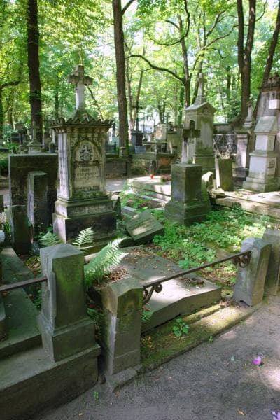 Zdjęcie grobu: August Damięcki