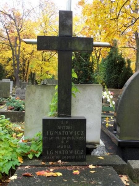 Zdjęcie grobu Maria Ignatowicz (2)