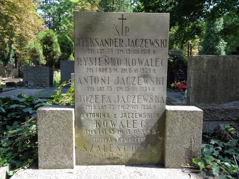 Zdjęcie grobu Antoni Jaczewski (1)