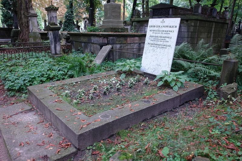 Zdjęcie grobu: Henryk Bałtrukiewicz